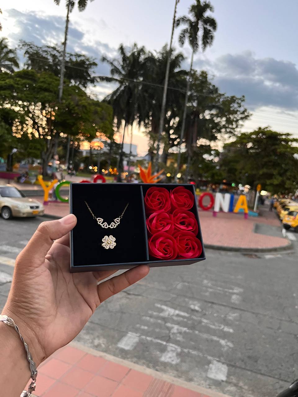 Combo Trébol Corazón + Caja de Rosas 🍀❤️🌹✨🎁